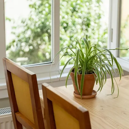 Lemon Apartment Istanbul