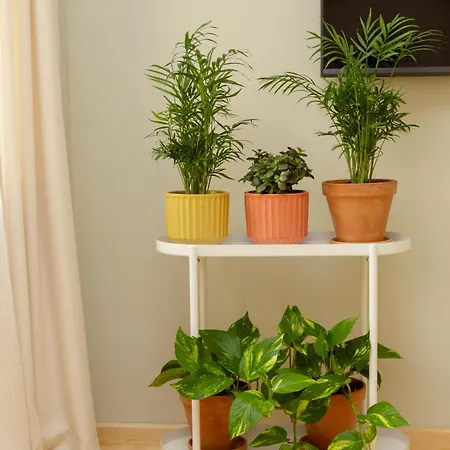 Apartamento Lemon